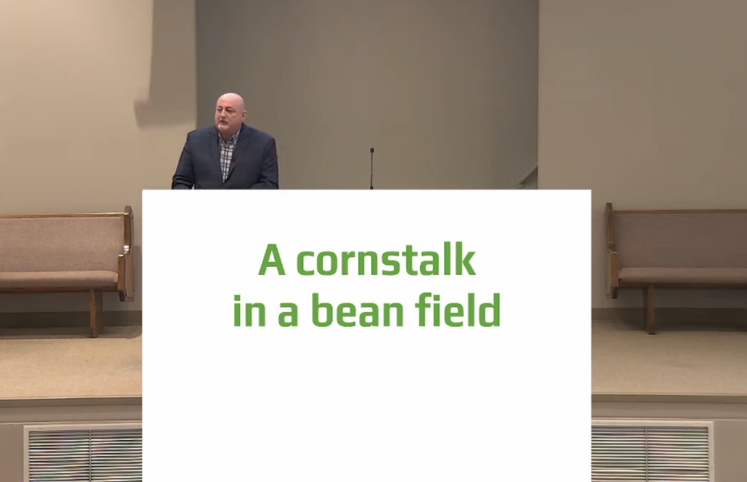 A Cornstalk in a Bean Field