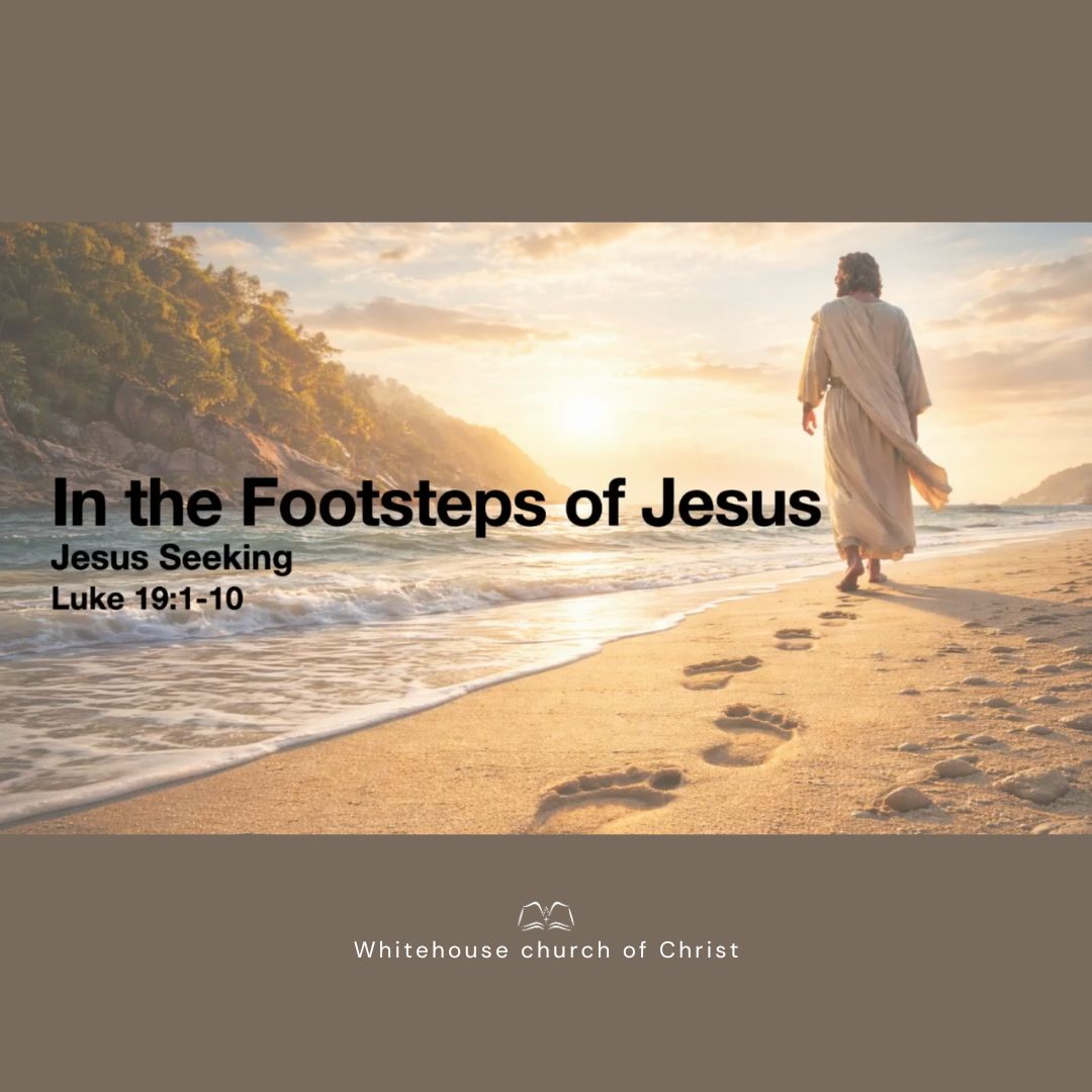 In The Footsteps of Jesus episode artwork