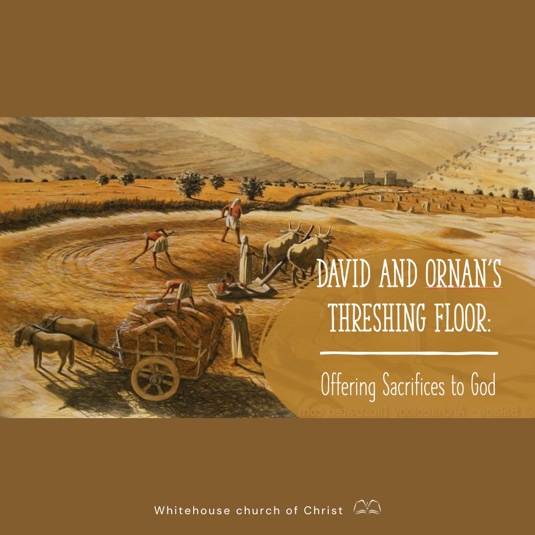 David & Ornan's Threshing Floor episode artwork