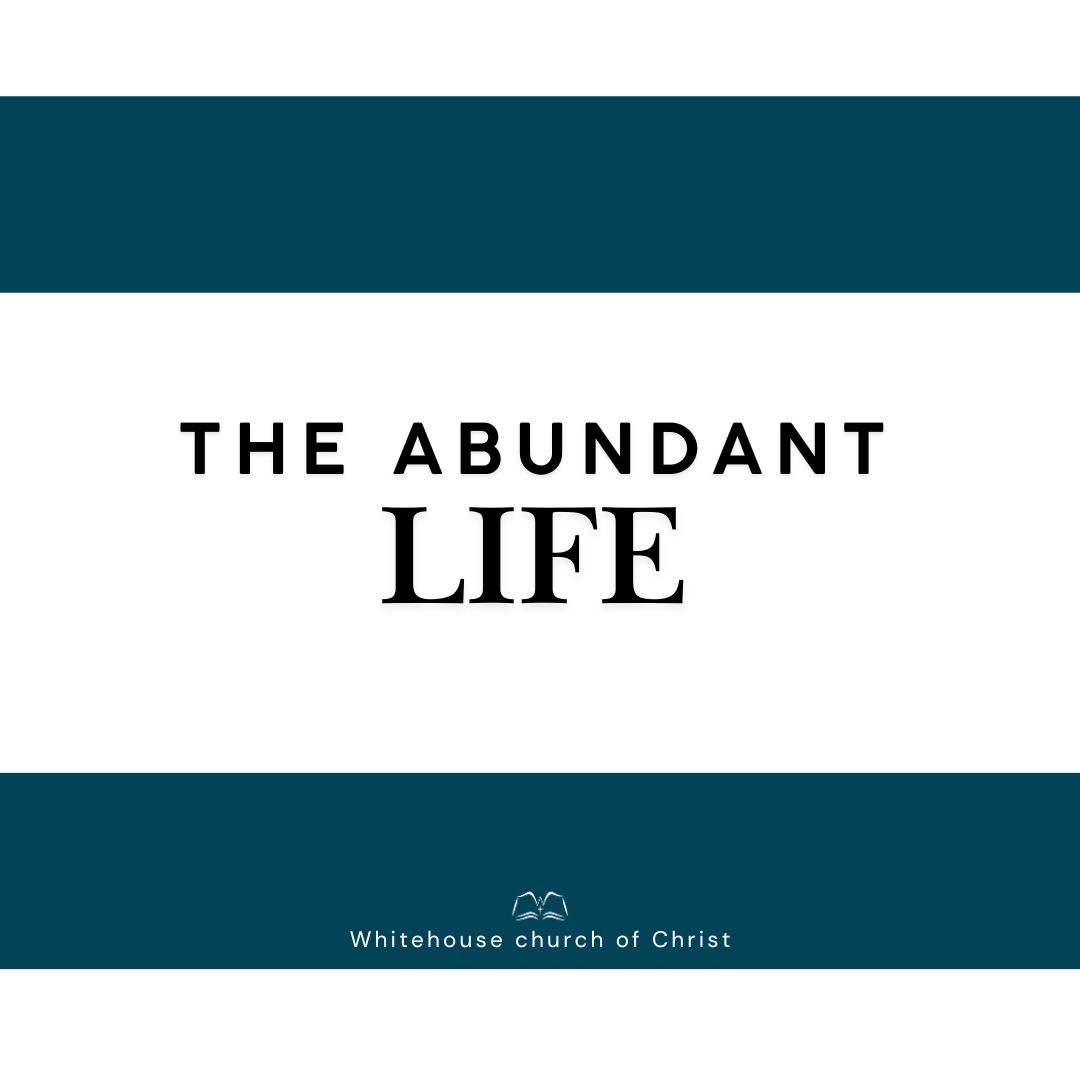 The Abundant Life episode artwork