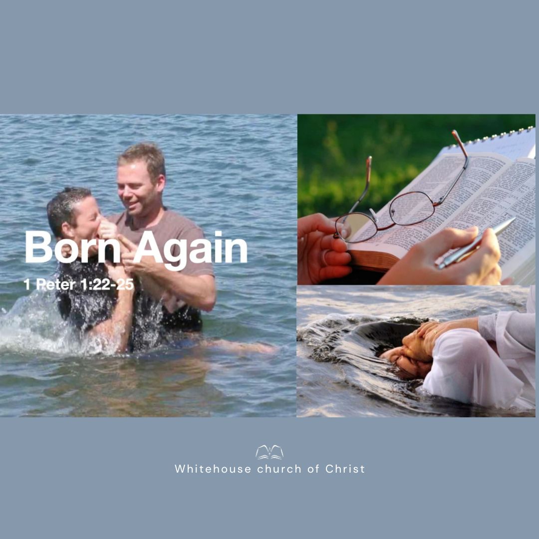 Born Again episode artwork