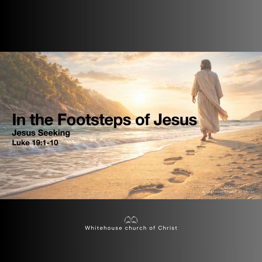 In The Footsteps of Jesus episode artwork