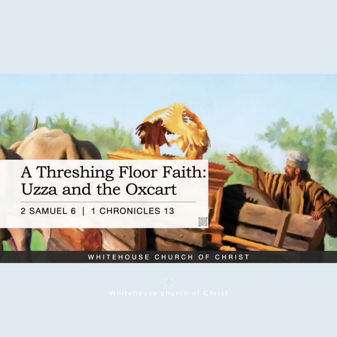 A Threshing Floor Faith | Uzza & the Oxcart episode artwork