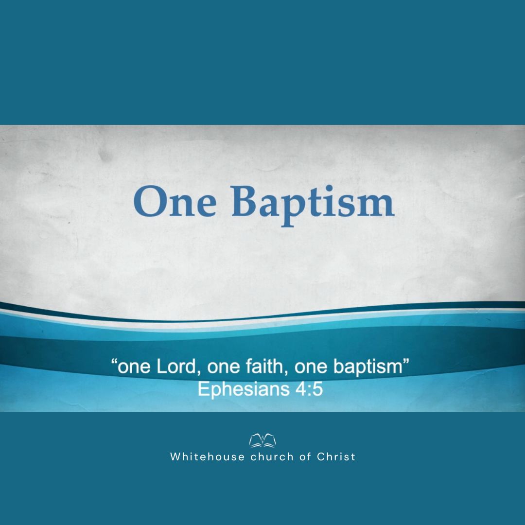 One Baptism episode artwork