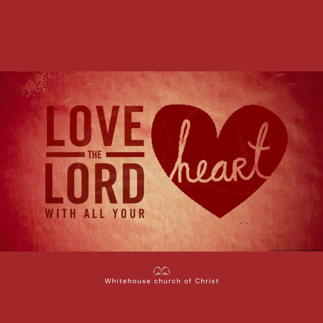 Love the Lord with All Your Heart episode artwork