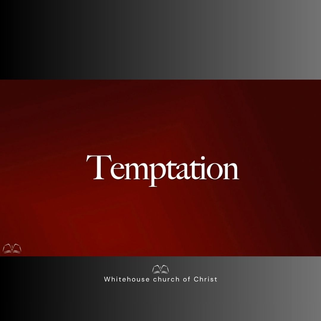 Temptation episode artwork