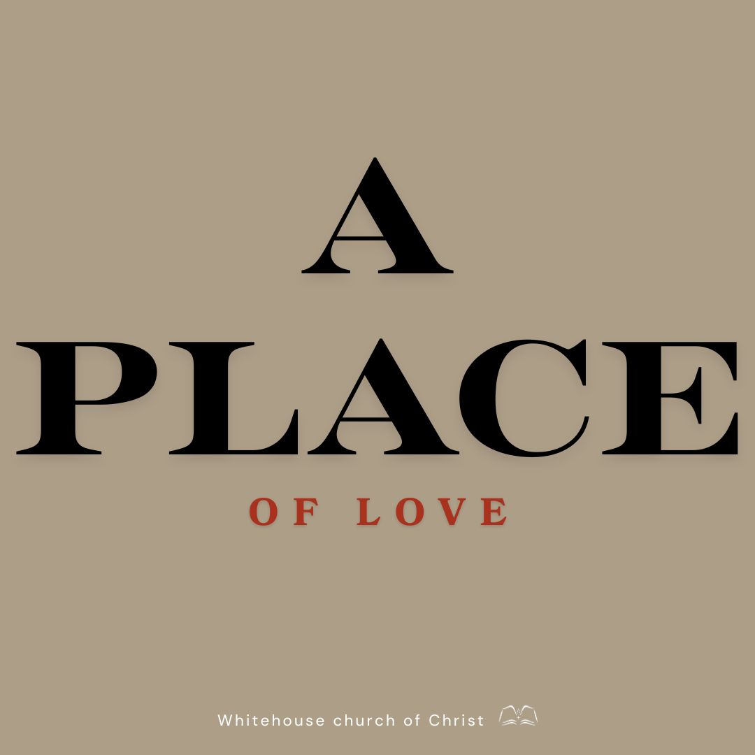 A Threshing Floor Faith | A Place of Love episode artwork