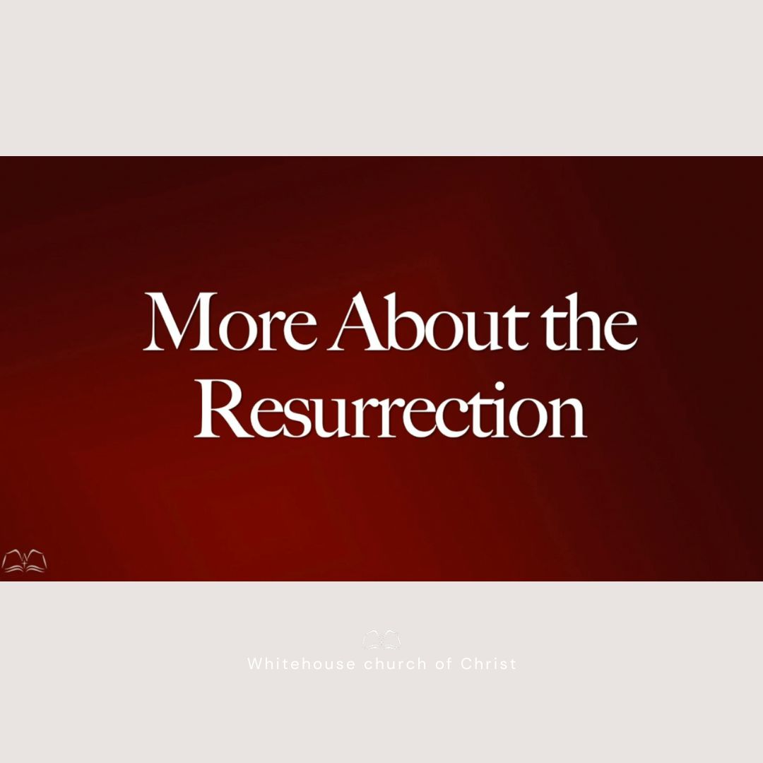 More About the Resurrection episode artwork