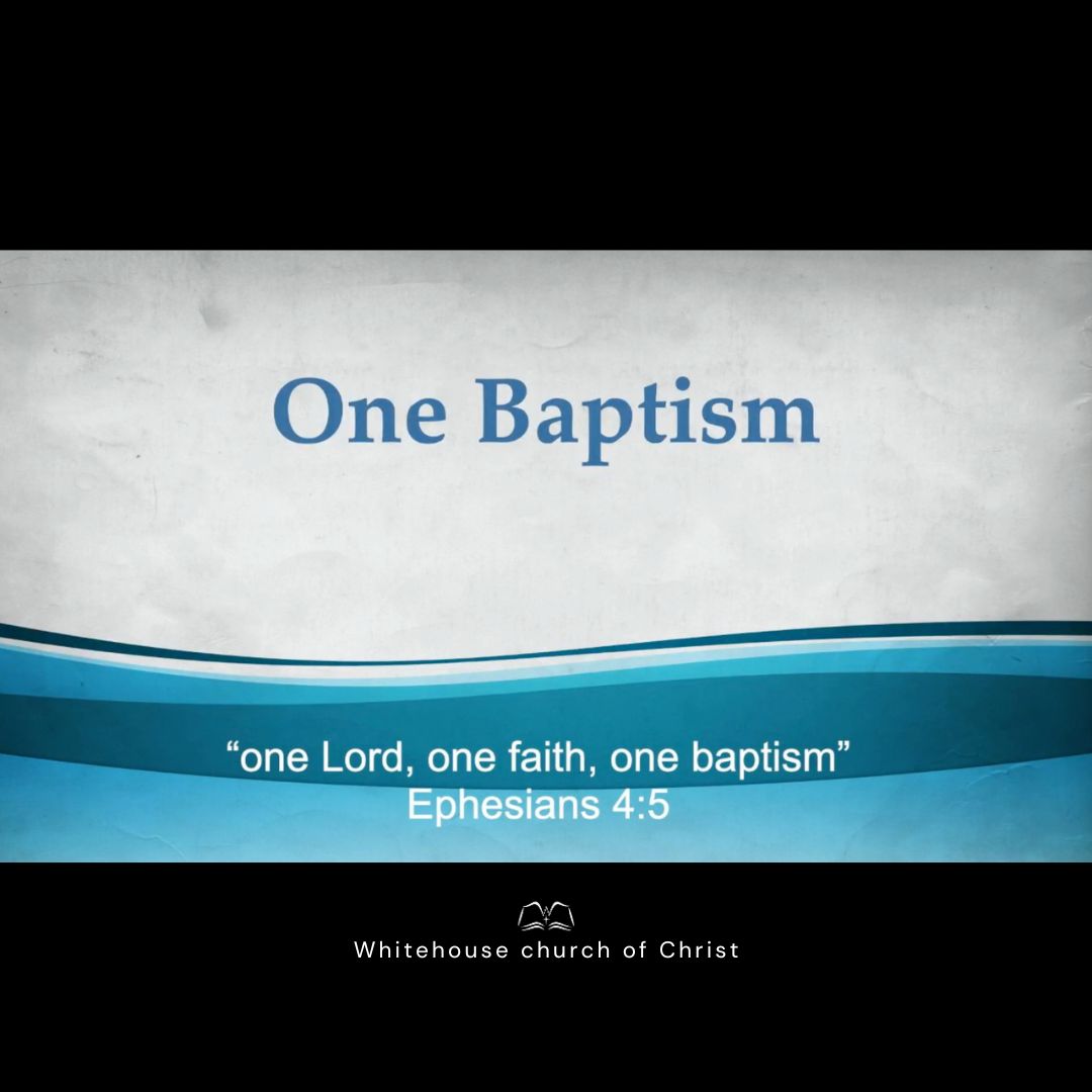 One Baptism episode artwork