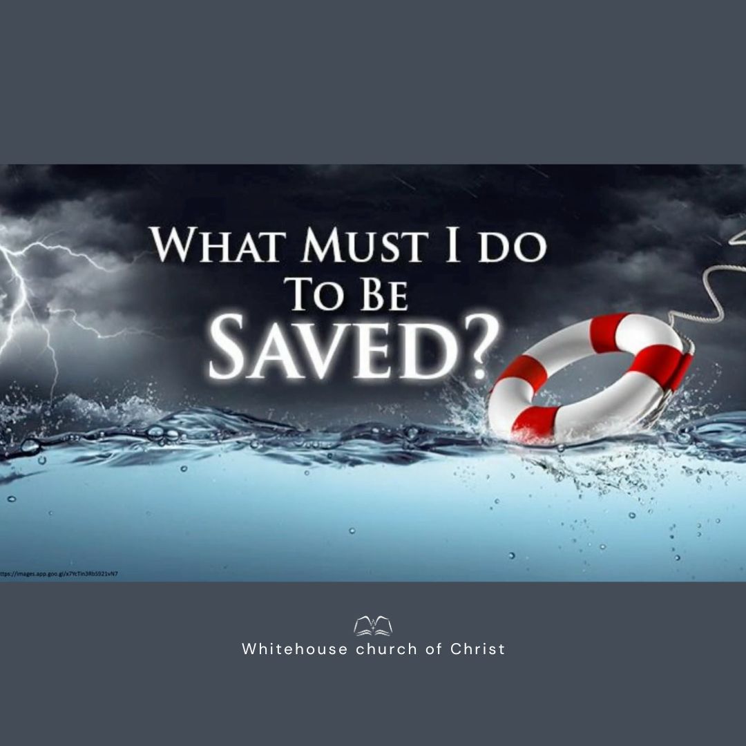 What Must I Do To Be Saved episode artwork